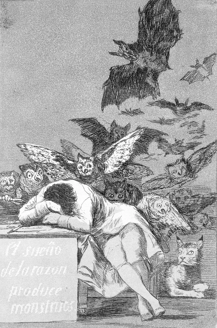 A man has fallen asleep across his desk. Owls and bats rise out of the dark behind him in a rush, and a cat watches from the floor.