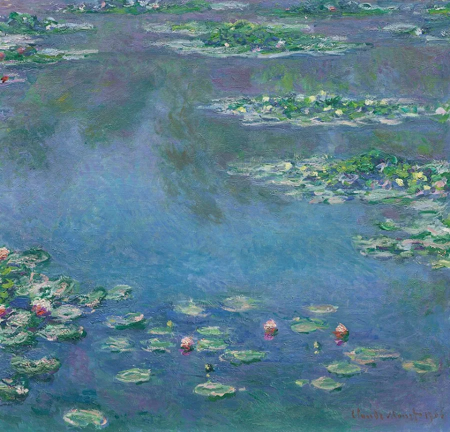 A pond seen from above, covered with lily pads and pale flowers. There is no sky and no horizon — only water, leaves and reflections.